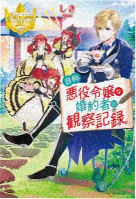 动漫星屑回收站推荐